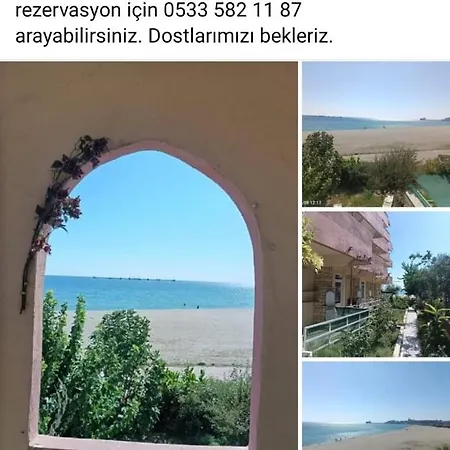 Deniz Yildizi
