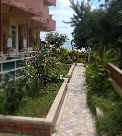 Deniz Yildizi Marmara Ereglisi